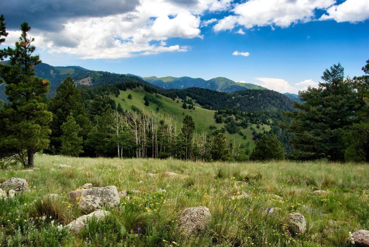 Pine Cabin, 2 Bedrooms, Fireplace, Midtown, Sleeps 6 Ruidoso Exterior foto